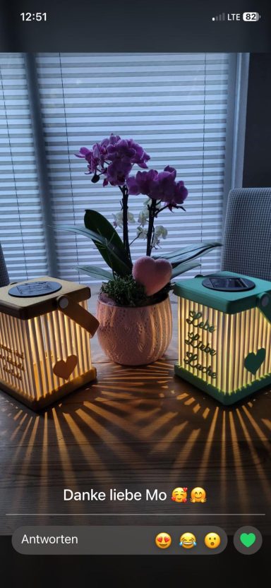 Zwei dekorative Lampen und eine Orchidee auf einem Holztisch.